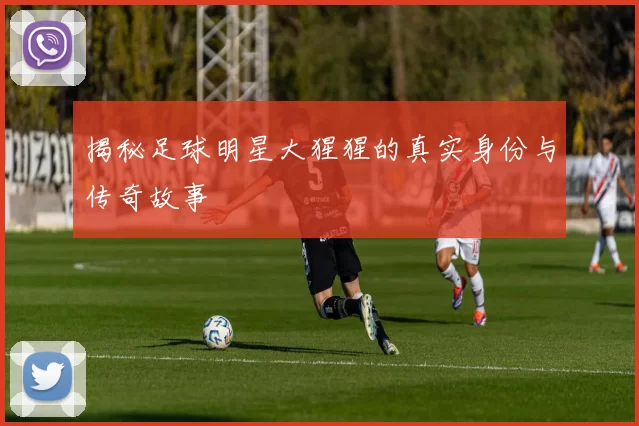 揭秘足球明星大猩猩的真实身份与传奇故事